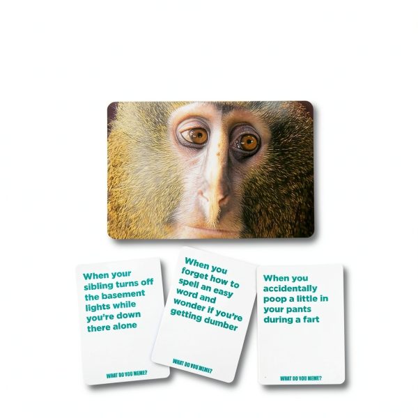 What Do You Meme TikTok Famous Family Card Game Ages 8+-2